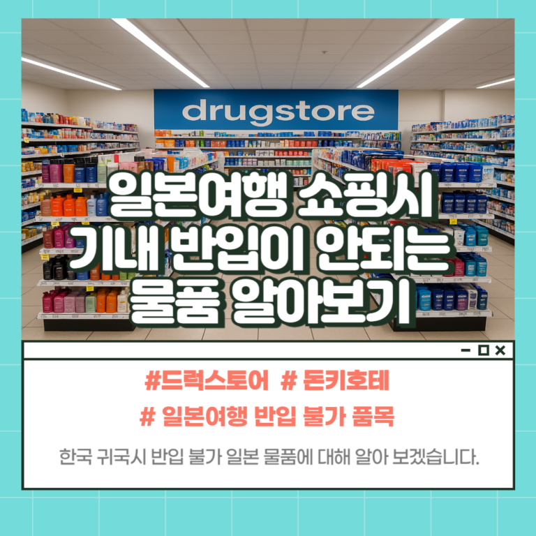 기내 반입 불가능 일본 물건