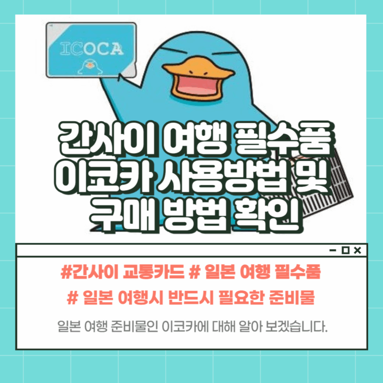 이코카 사용방법