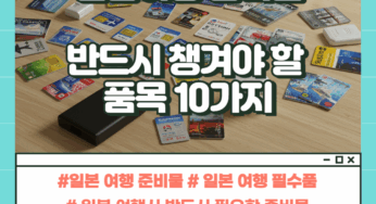 일본 여행 준비물 TOP 10: 유심 이심 교통카드 포함