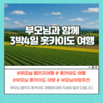 부모님 홋카이도 패키지여행