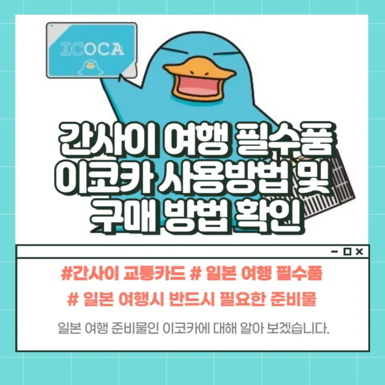 이코카 사용방법