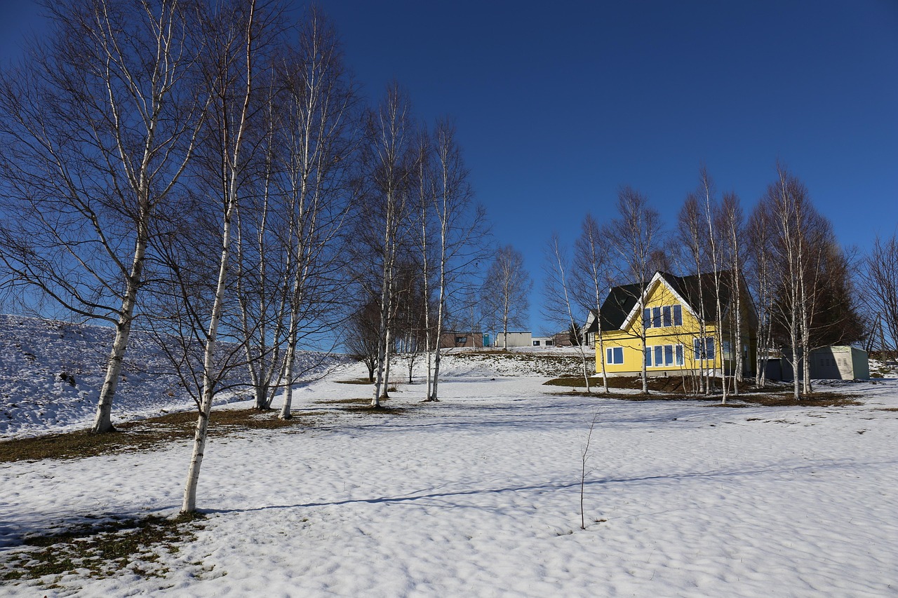 홋카이도 눈 축제와 함께 즐길 수 있는 가볼만한 곳 5곳